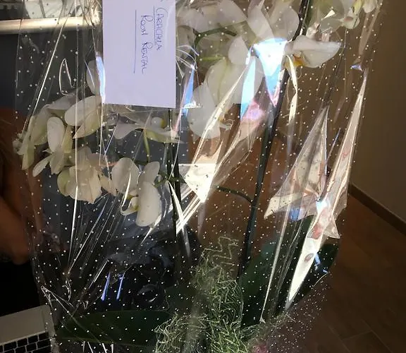 Caracalla 4*
